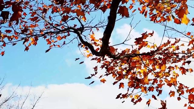 o. Augustyn Pelanowski. Słowa, które rozdzierają serce i otwierają oczy.