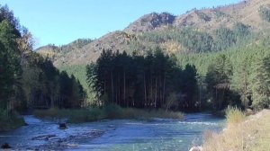 Исцеление от варикозного расширения вен  Для мужчин и женщин Настрои академика Сытина Г.Н.