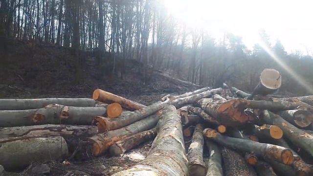 Трактор LKT 81 в работе. смотреть онлайн