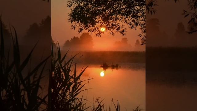 ПРИТЧА "Пустая лодка" смотреть онлайн