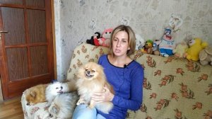 Определение благоприятных дней для вязки собаки. Секретный метод. Все о течке собаки.