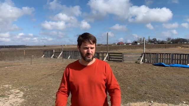 Выращивание бройлера, забой до 45 суток, бизнес на бройлере на своём участке, бройлер как бизнес. смотреть онлайн