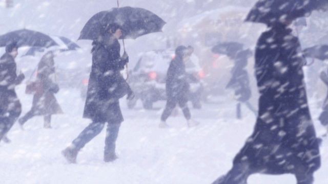 O'ZBEKISTONDA HAFTA OXIRIDA 18 DARAJA SOVUQ BO'LISHI KUTILMOQDA смотреть онлайн