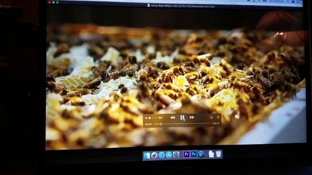Macbook pro 2018 screen flashing 3 смотреть онлайн