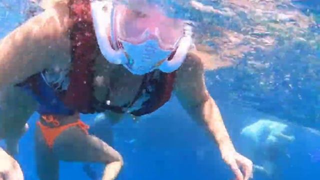 Снорклинг в Хургаде. Красное море смотреть онлайн