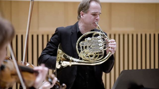 W.A.Mozart Horn concerto no.1, D-Major смотреть онлайн