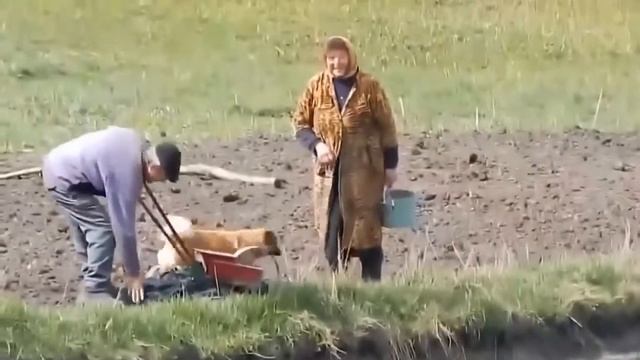 ДЕД ОТЖИГАЕТ НА ОГОРОДЕ смотреть онлайн