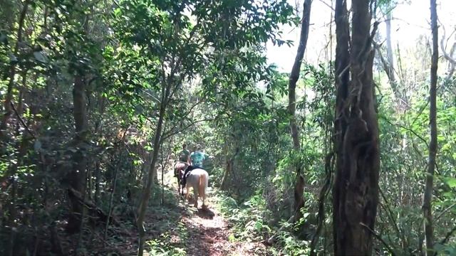 Почувстуйте себя настоящими Гаучо! Игуасу. Аргентина. смотреть онлайн