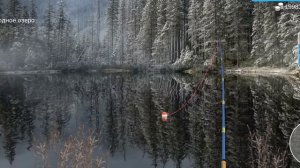 Как и где ловить#Сиг# my fishing world