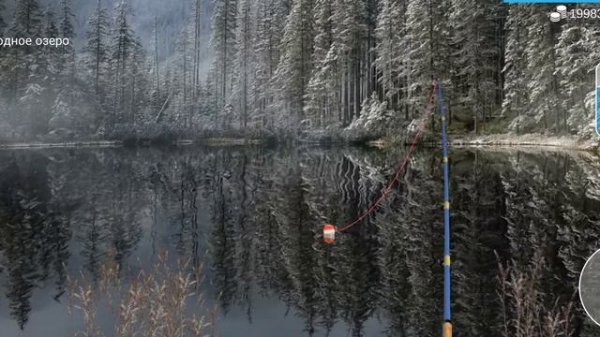 Как и где ловить#Сиг# my fishing world