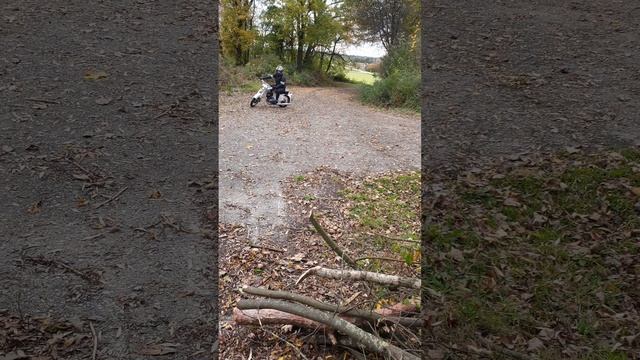 Jawa 175 CZ450 original 1967 Ява 175 1967 год выпуска в оригинальном состоянии смотреть онлайн