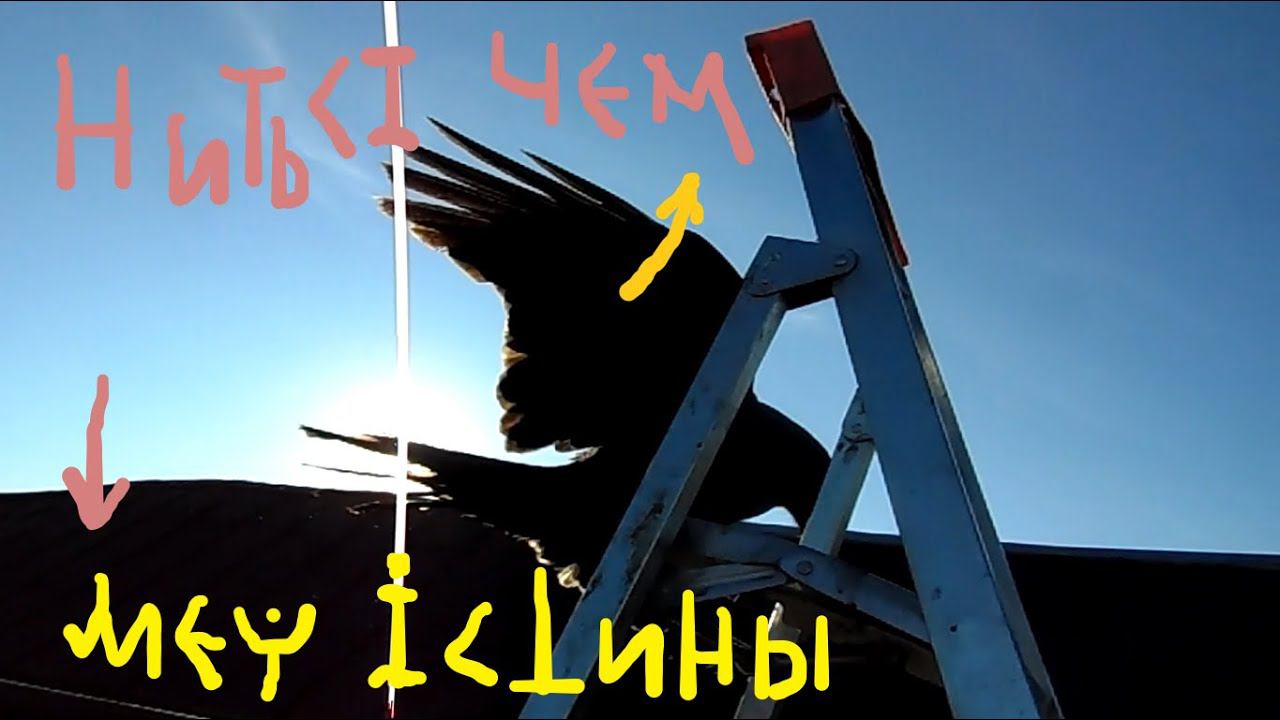 Памяти Человека и Дворника - Глашатая Истины. смотреть онлайн