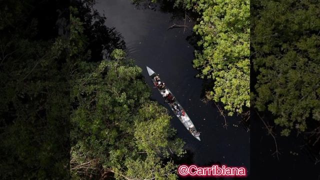 ОРИНОКО - одна из самых длинных рек в Южной Америке смотреть онлайн