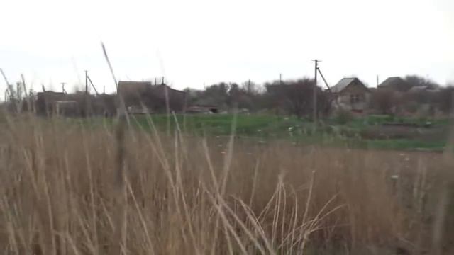 ката СК "БУДО" техника каратэ смотреть онлайн