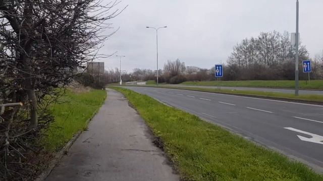 Нострификация с переводчиком. Экзамены по пяти предметам смотреть онлайн
