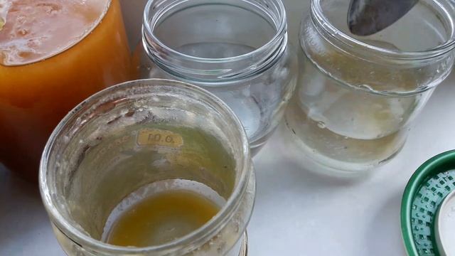 Первое кормление суточных перепелят. смотреть онлайн