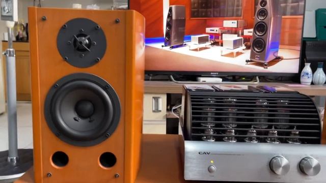 Chất âm quá ấn tượng của loa Sony SS-AL3 và Amply Đèn CAV T-5. LH: 077.202.0010 смотреть онлайн