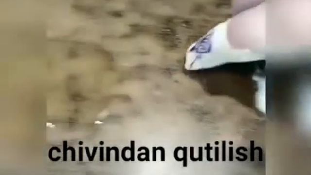 Chivindan Qutilish Yóllari??