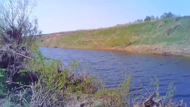 Ловля Окуня.Карась и Щука На Червя смотреть онлайн