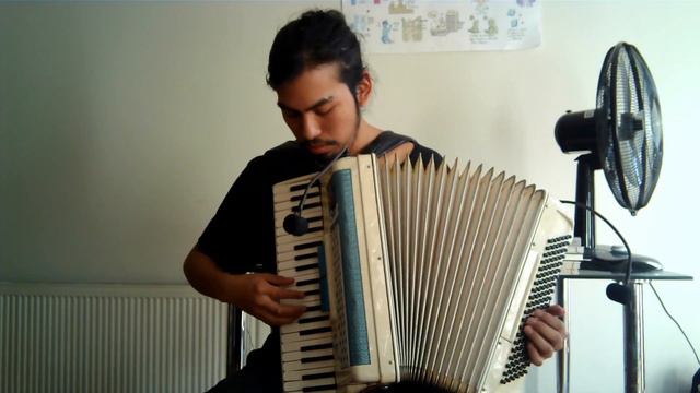Jorge Drexler - 12 Segundos De Oscuridad - cover accordion смотреть онлайн