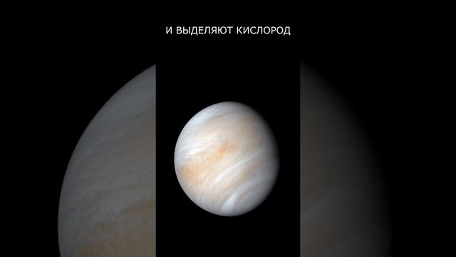 ВЕНЕРА. Вторая Земля? смотреть онлайн