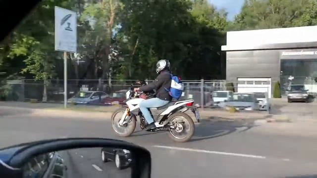 Такса за рулём смотреть онлайн