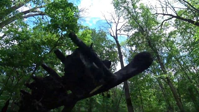 Магнитные Грабли кибер панк смотреть онлайн