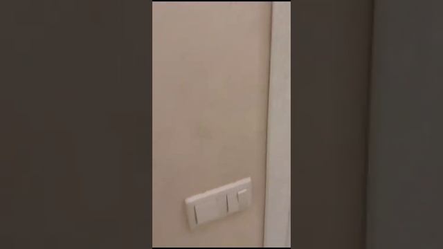 Аренда квартиры в Олимпийском парке смотреть онлайн