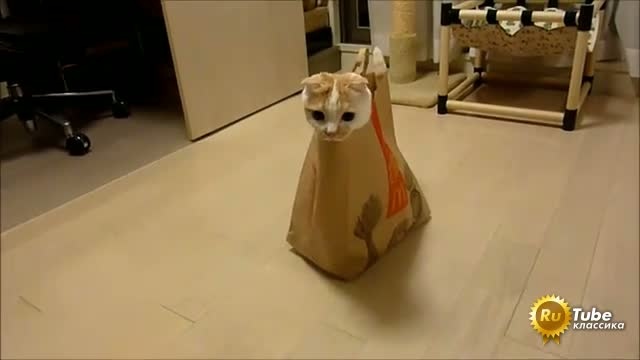 Хэппи Мил с сюрпризом смотреть онлайн