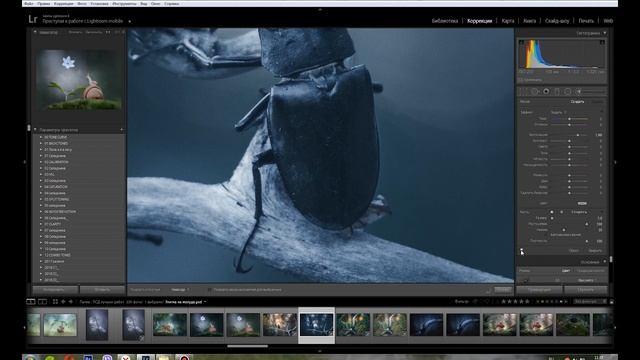 Художественная обработка макрофото || Lightroom, Photoshop смотреть онлайн