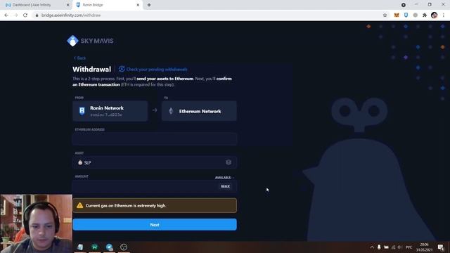 Axie Infinity. Стоит ли начинать и ответы на основные вопросы
