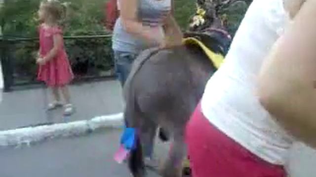 ЖЕСТЬ ! КАК ВЫРАСТАЕТ ДОСТОИНСТВО У ОСЛА ПРИ КАТАНИИ ДЕТЕЙ В ПАРКЕ! смотреть онлайн