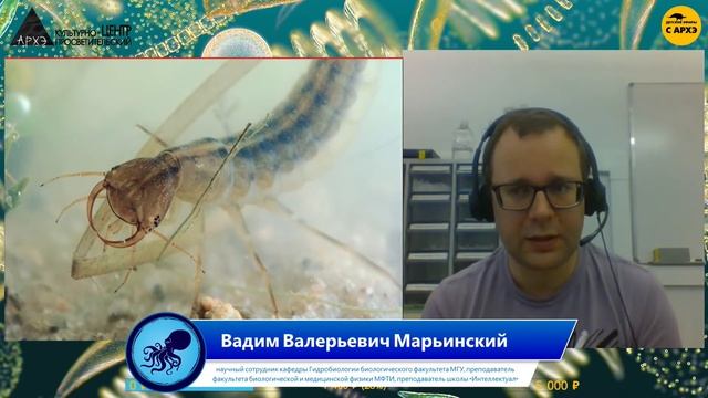 Детский эфир "Самые опасные-3" рубрики "Экология беспозвоночных" с Вадимом Марьинским смотреть онлайн