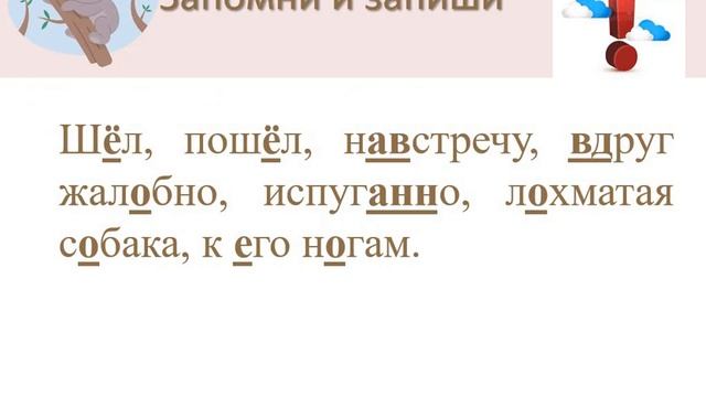 Наши любимые питомцы смотреть онлайн