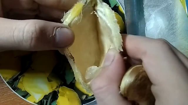 Как правильно вырастить манго в домашних условиях. смотреть онлайн