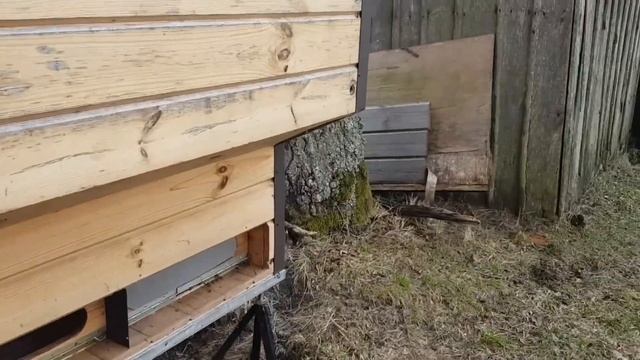 НАЧАЛО ОХОТЫ НА НЕИЗВЕСТНОГО ЗВЕРЯ смотреть онлайн