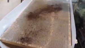 Просев коконов червей Дендробена