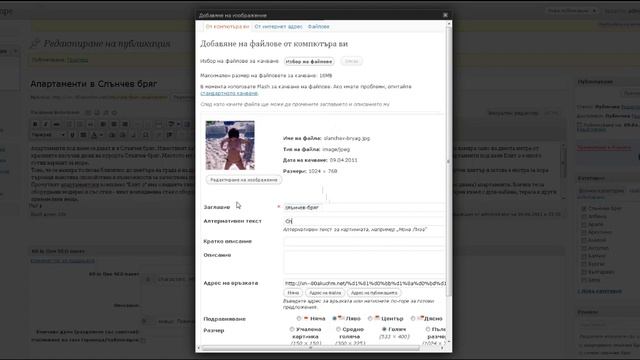 Как се качва материал в WordPress смотреть онлайн