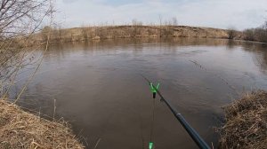 ЛОВЛЯ ЕЛЬЦА ВЕСНОЙ!!! В МУТНОЙ ВОДЕ, НА МАЛОЙ РЕКЕ!...