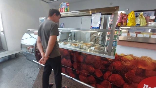 Поезд 155 СА Анапа - Москва. Вагон с разрешением провоза животных. Прибытие на Казанский вокзал.