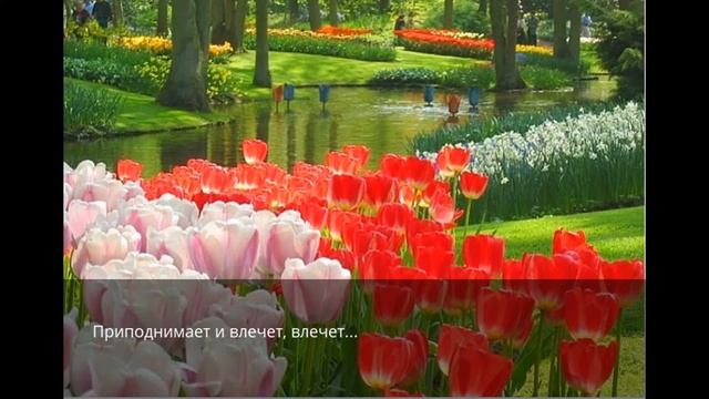 Цветы общения смотреть онлайн