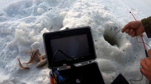 Подводная камера для рыбалки. Мутная река