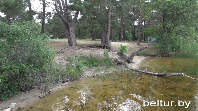 База отдыха Любань - озеро Любань, Отдых в Беларуси смотреть онлайн