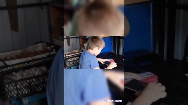 когда не хочешь делать уроки 😂 смотреть онлайн