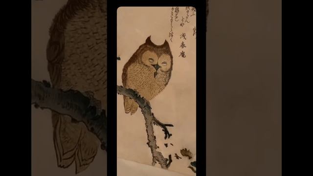 Суримоно. Японская поэтическая открытка. Рассказывает Юлия Лезина. Прямые эфиры Эрмитажа. смотреть онлайн