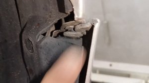 Fiat Grande Punto Как снять передний бампер 2012-2018