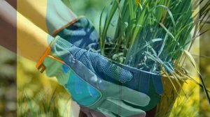 Сад и огород для детей | Изучаем сад и огород