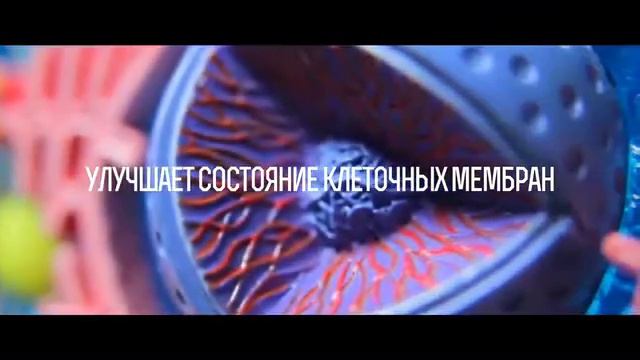 вода это жизнь смотреть онлайн