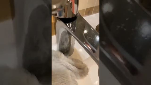 Уборка и домашний комфорт