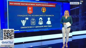 С посещением МФЦ и удаленно: как оформить карту болельщика